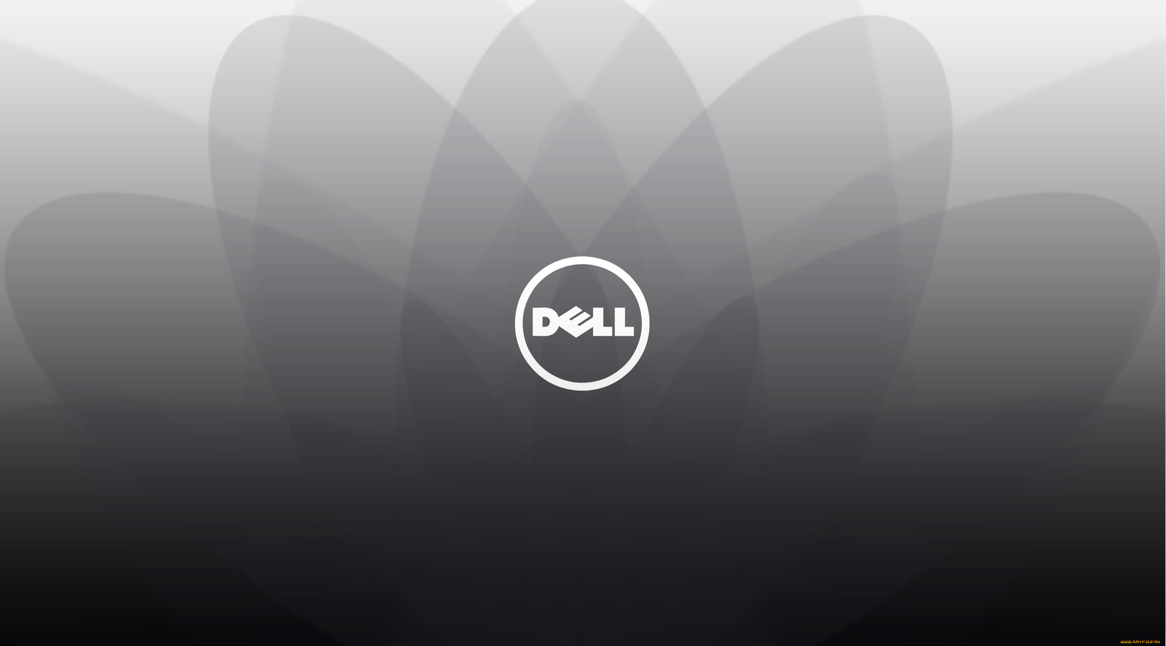 , dell, , 
